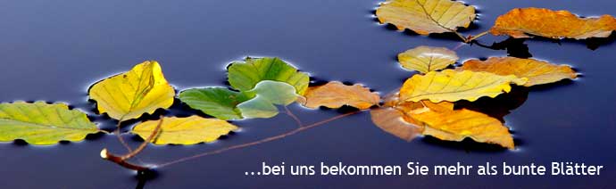 Fotokopien Müller Keyvisual